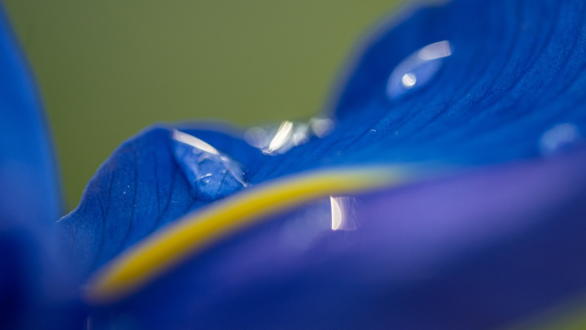Textile bleu et blanc près d'un mur jaune